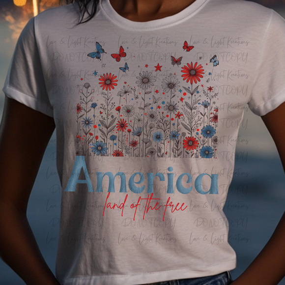 America Land of the Free