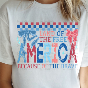 Checkered America