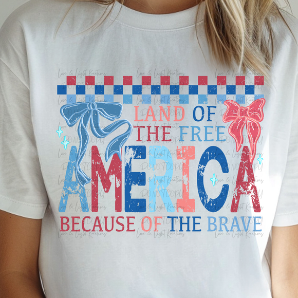 Checkered America