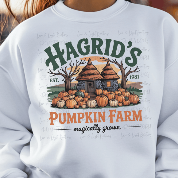 Hagrid's Pumpkin Farm