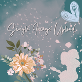 Single Image Upload