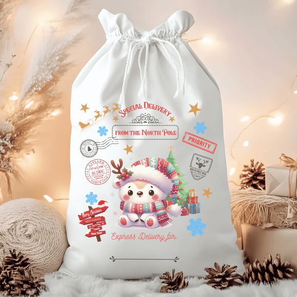 Special Delivery Bear Santa Sack