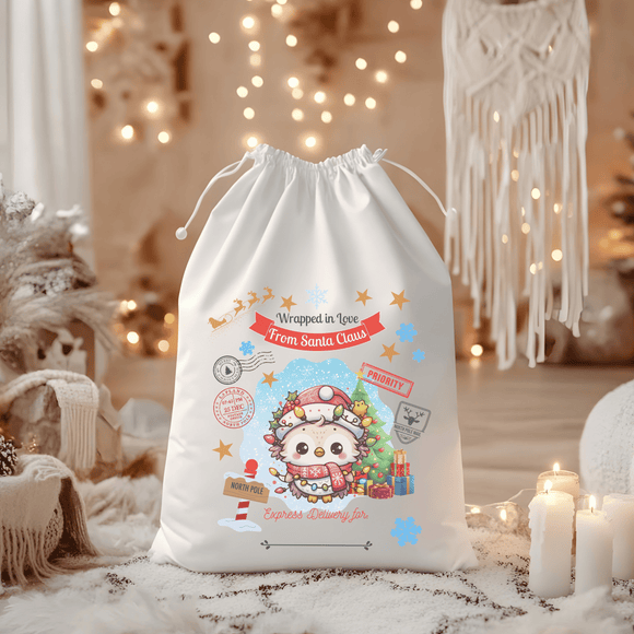Special Delivery Owl Santa Sack