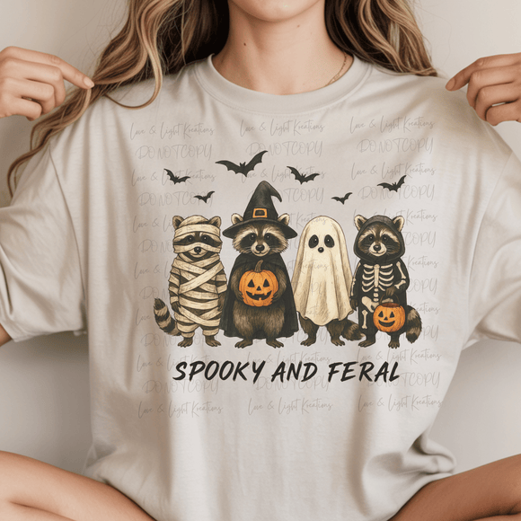 Spooky and Ferral Raccoons